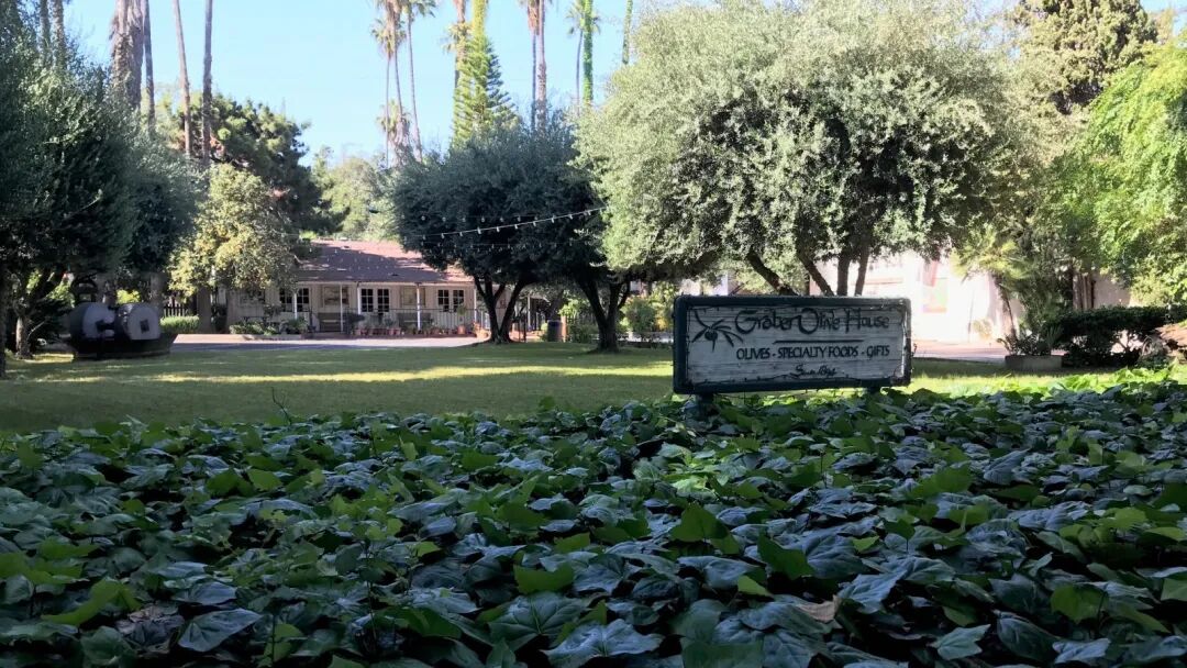 Ontario names 126-year-old Graber Olive House a historic district – Daily Bulletin
